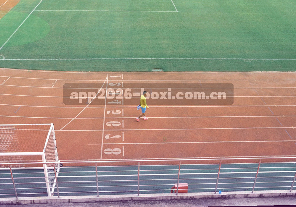 五类赛事内容汇聚到同一索引主干的结构示意图